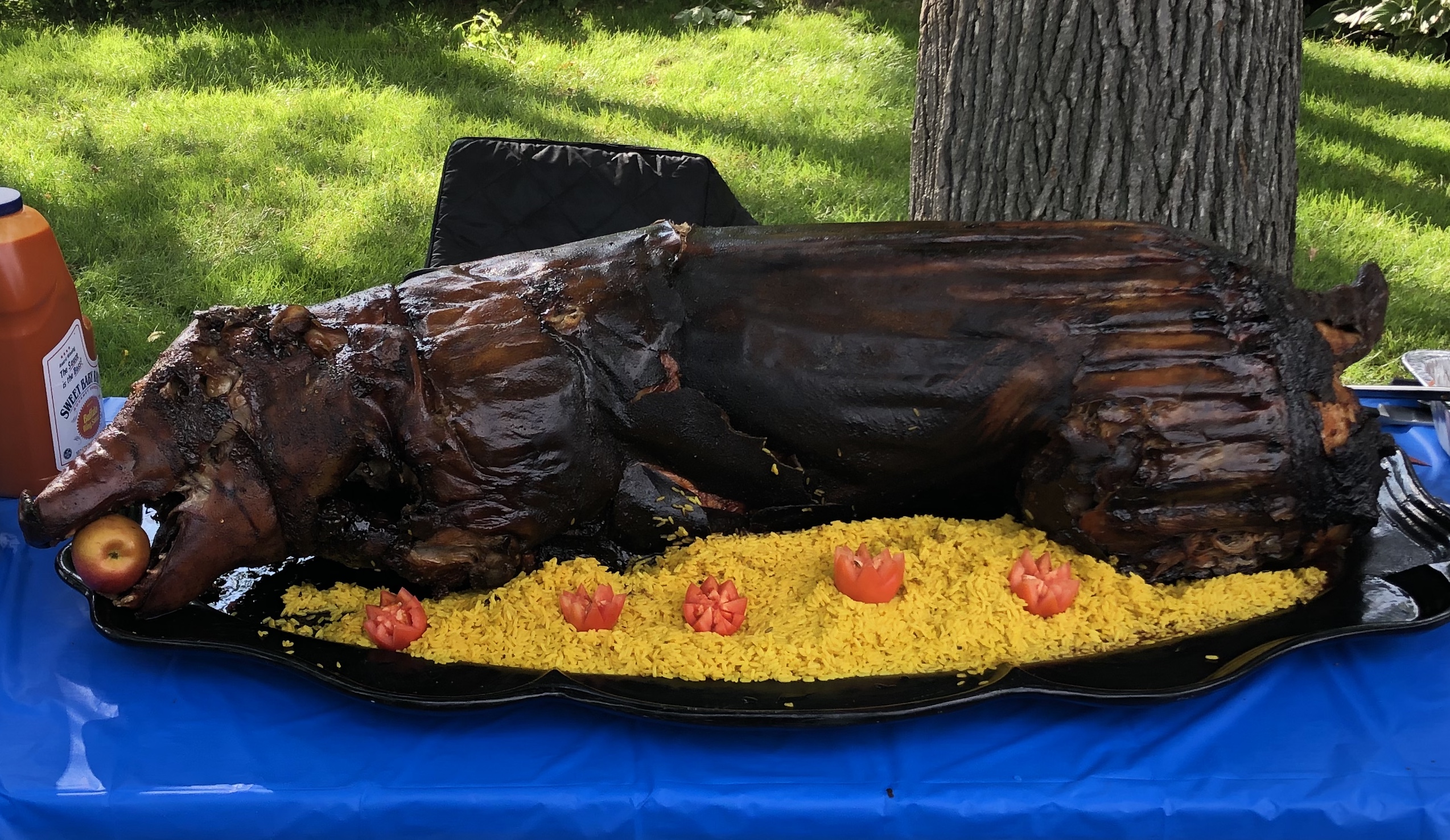 wholehogcatering Minnesota Grills & Rotisseries